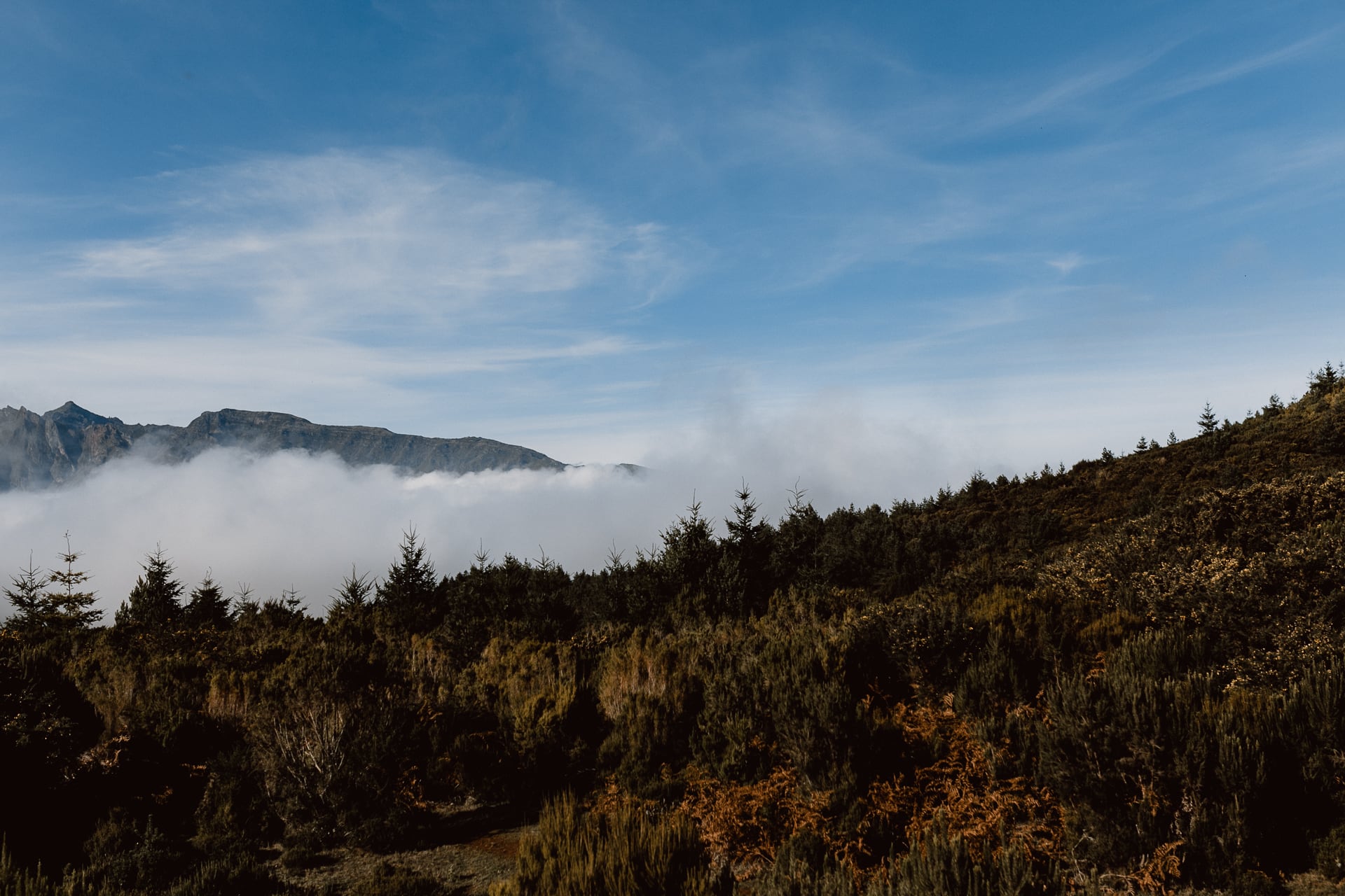 Madeira,Engagement, Hochzeitsfotografie auf der Insel, Paarfotografie auf dem Berg, Inselhochzeiten, Weddingphotographer, Weddingholliday, Honeymoon, Deniz Pekdemir Hochzeitsfotografin aus Hamburg und Sylt und Mallorca, Wolken 