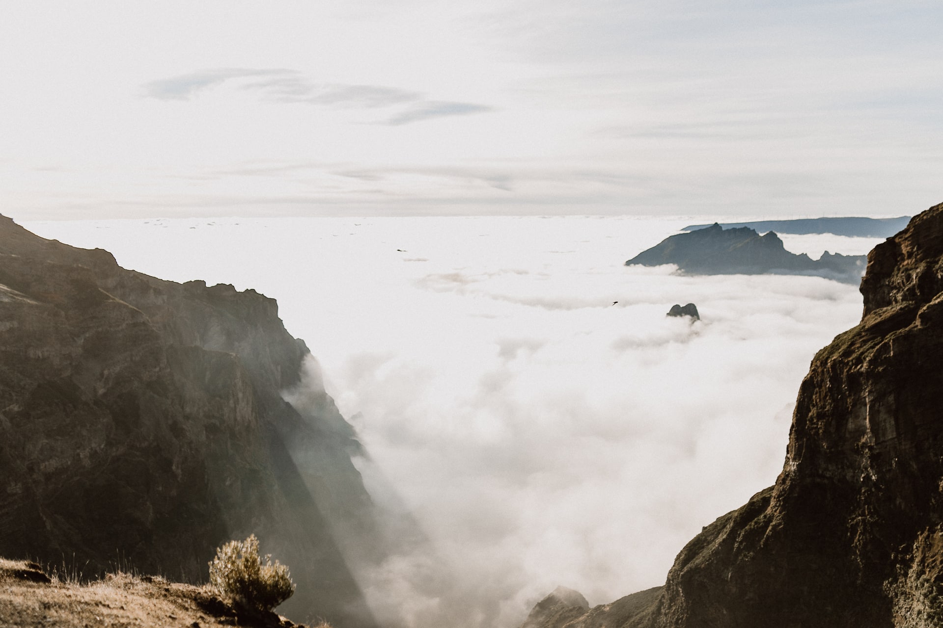 Madeira,Engagement, Hochzeitsfotografie auf der Insel, Paarfotografie auf dem Berg, Inselhochzeiten, Weddingphotographer, Weddingholliday, Honeymoon, Deniz Pekdemir Hochzeitsfotografin aus Hamburg und Sylt und Mallorca